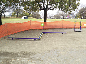 根ヶ宿公園1_蓮田