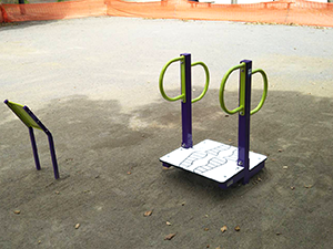 根ヶ宿公園3_蓮田