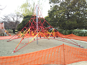 西城沼公園2_蓮田