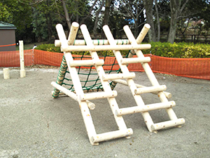 西城沼公園3_蓮田