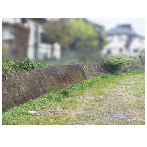 東城沼擁壁改修工事